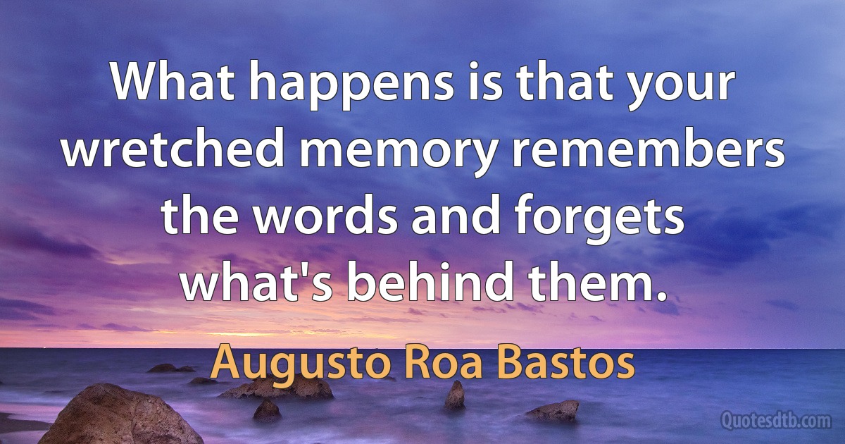 What happens is that your wretched memory remembers the words and forgets what's behind them. (Augusto Roa Bastos)