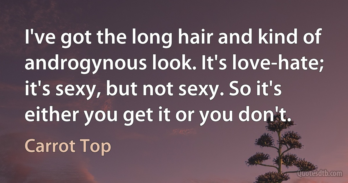 I've got the long hair and kind of androgynous look. It's love-hate; it's sexy, but not sexy. So it's either you get it or you don't. (Carrot Top)