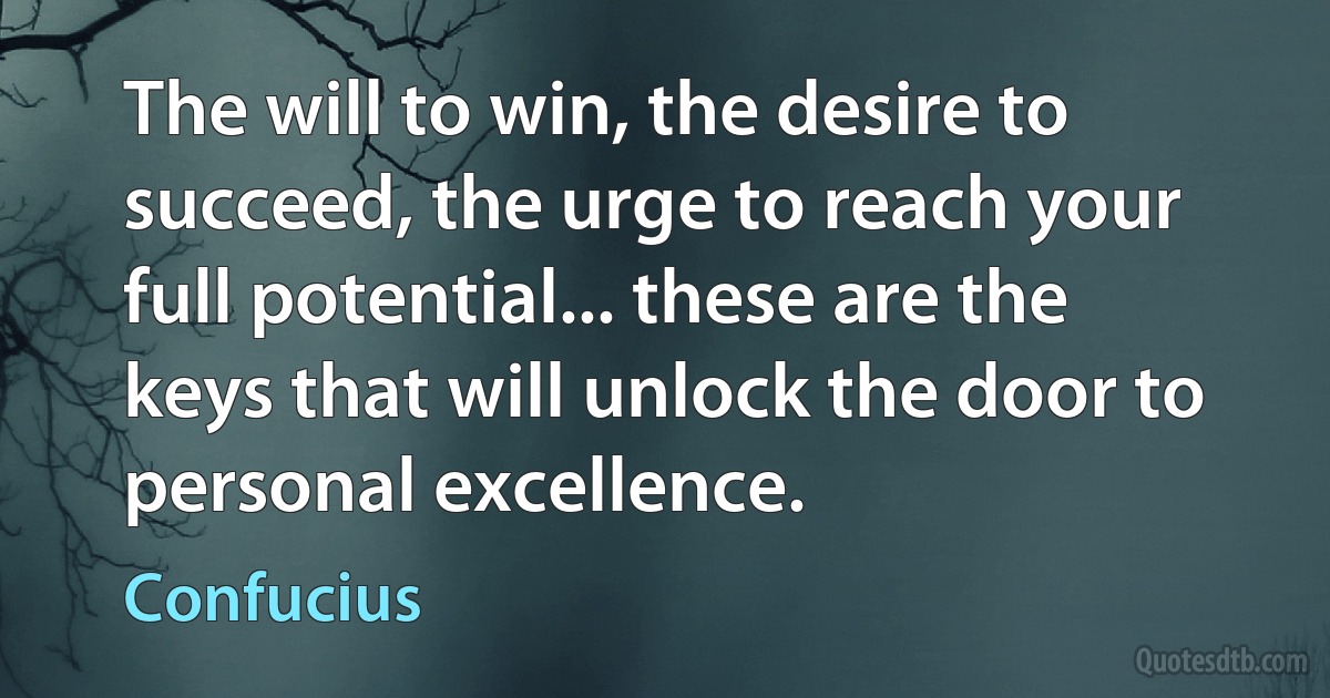 The will to win, the desire to succeed, the urge to reach your full potential... these are the keys that will unlock the door to personal excellence. (Confucius)