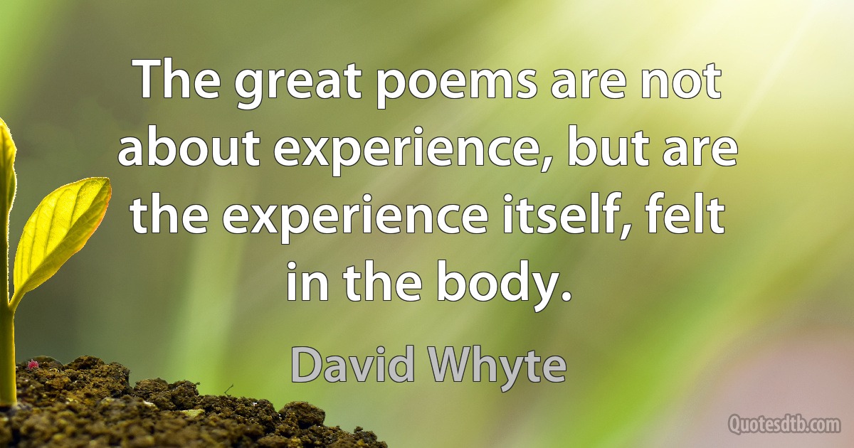 The great poems are not about experience, but are the experience itself, felt in the body. (David Whyte)