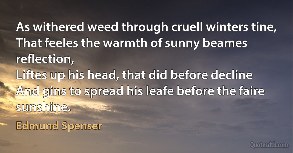 As withered weed through cruell winters tine,
That feeles the warmth of sunny beames reflection,
Liftes up his head, that did before decline
And gins to spread his leafe before the faire sunshine. (Edmund Spenser)