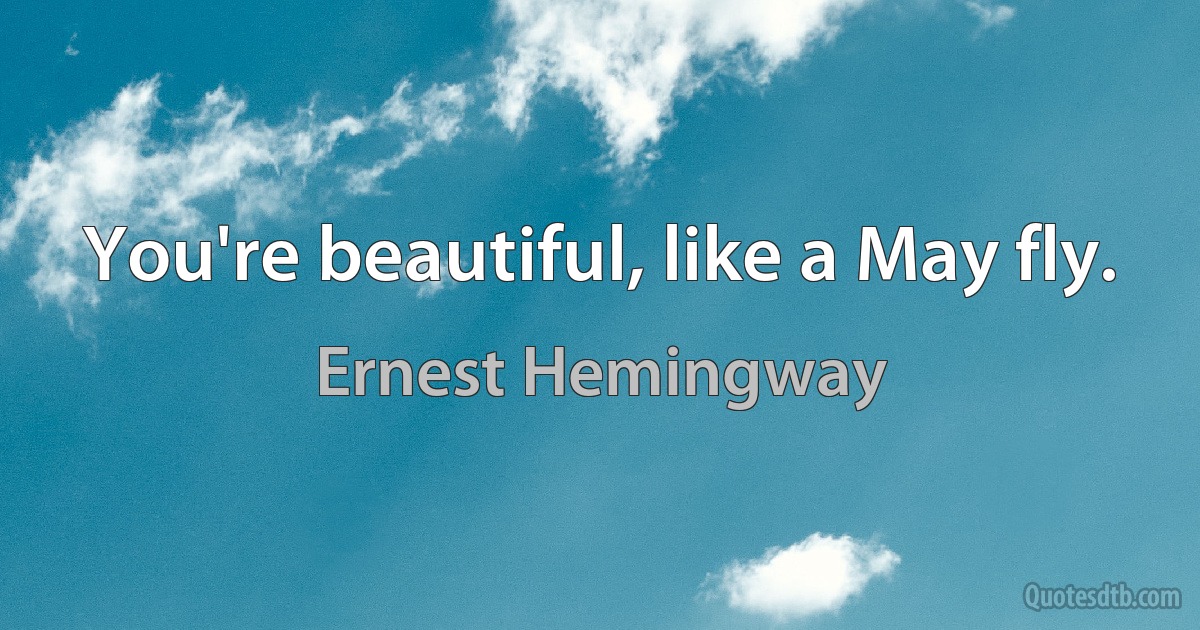 You're beautiful, like a May fly. (Ernest Hemingway)