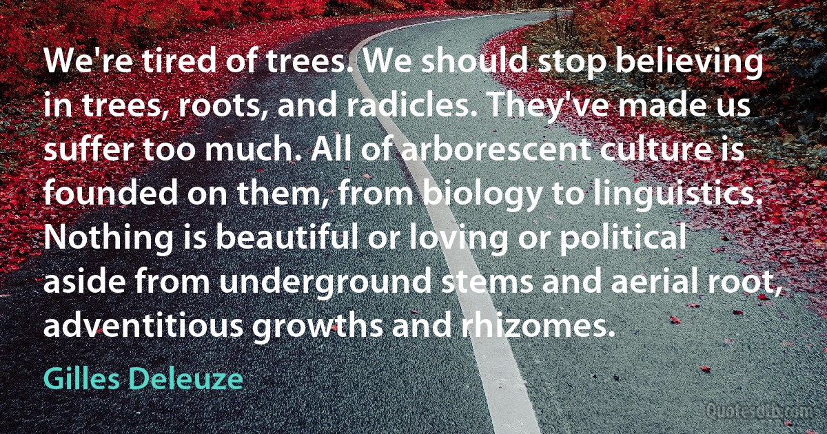 We're tired of trees. We should stop believing in trees, roots, and radicles. They've made us suffer too much. All of arborescent culture is founded on them, from biology to linguistics. Nothing is beautiful or loving or political aside from underground stems and aerial root, adventitious growths and rhizomes. (Gilles Deleuze)