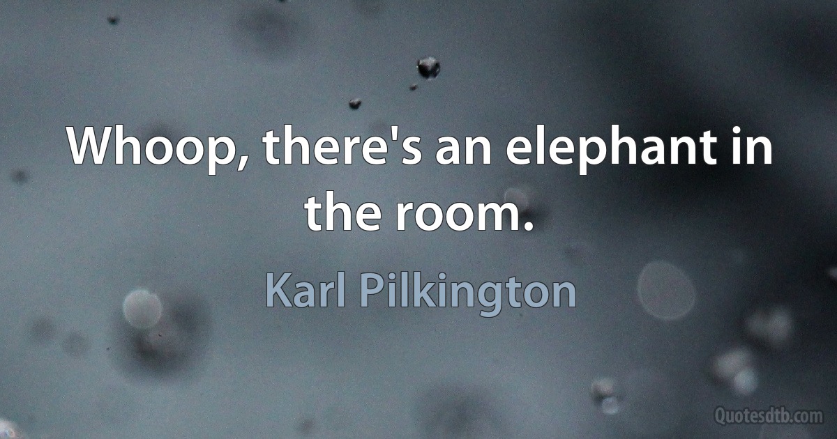 Whoop, there's an elephant in the room. (Karl Pilkington)