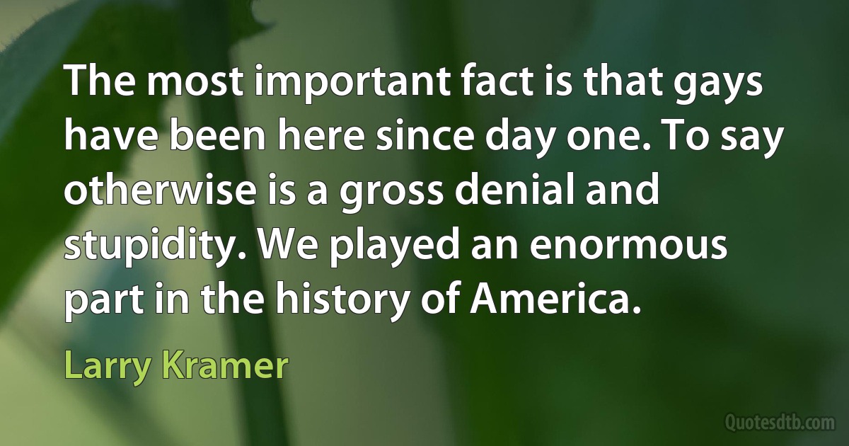 The most important fact is that gays have been here since day one. To say otherwise is a gross denial and stupidity. We played an enormous part in the history of America. (Larry Kramer)