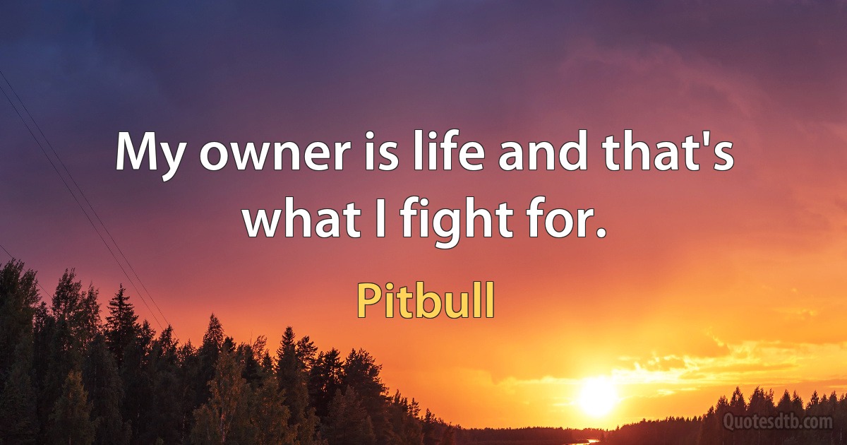 My owner is life and that's what I fight for. (Pitbull)