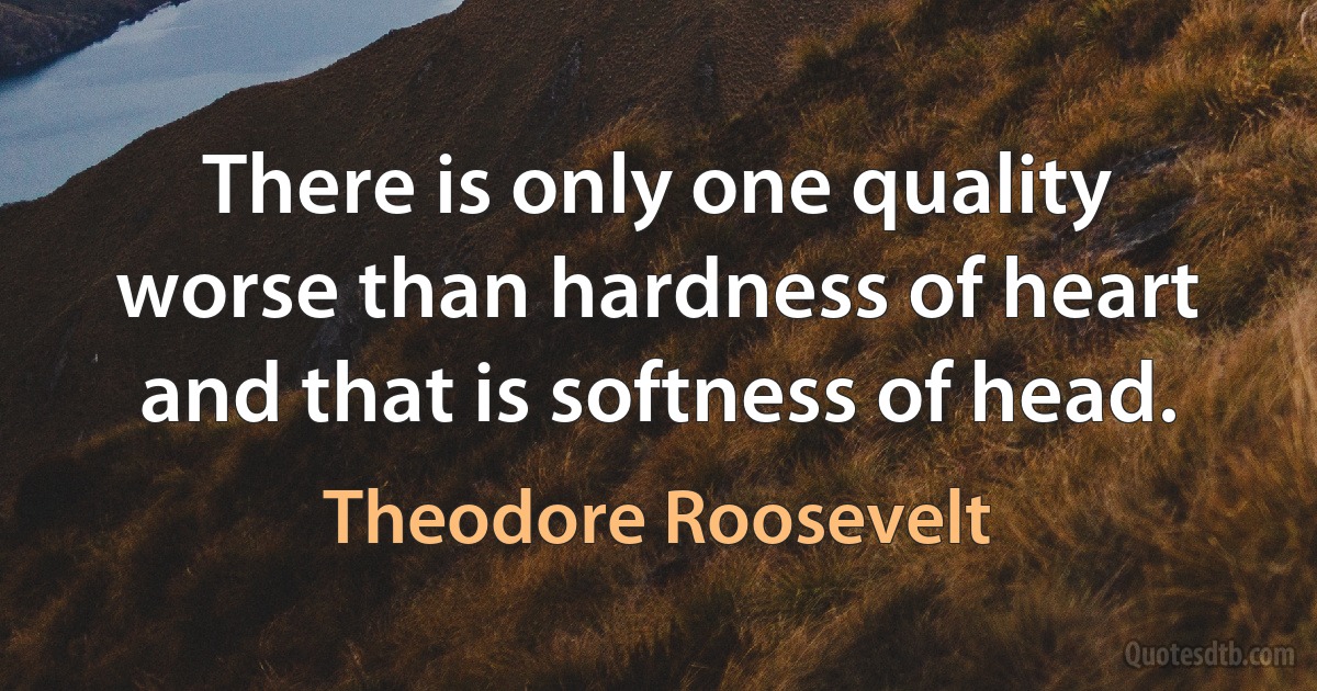 There is only one quality worse than hardness of heart and that is softness of head. (Theodore Roosevelt)