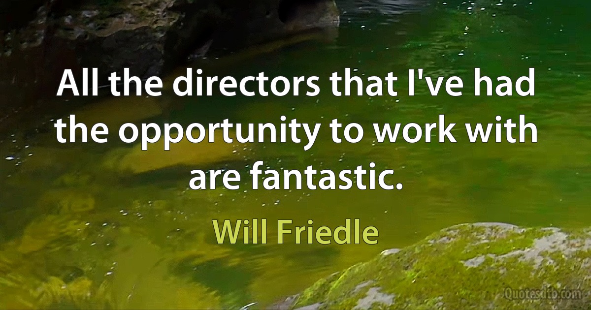 All the directors that I've had the opportunity to work with are fantastic. (Will Friedle)