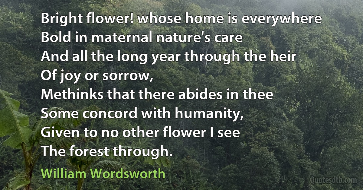 Bright flower! whose home is everywhere
Bold in maternal nature's care
And all the long year through the heir
Of joy or sorrow,
Methinks that there abides in thee
Some concord with humanity,
Given to no other flower I see
The forest through. (William Wordsworth)