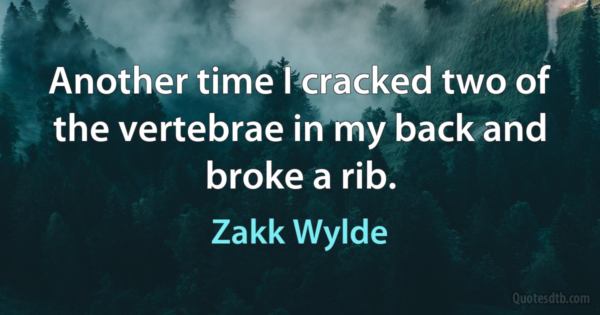 Another time I cracked two of the vertebrae in my back and broke a rib. (Zakk Wylde)