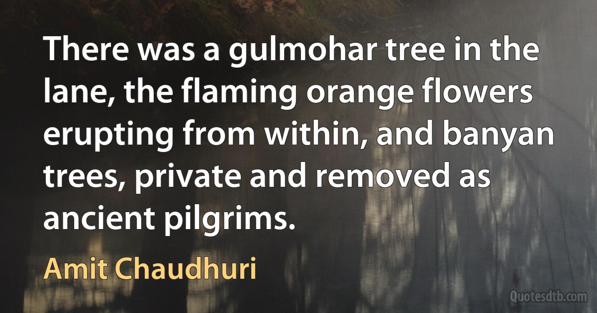 There was a gulmohar tree in the lane, the flaming orange flowers erupting from within, and banyan trees, private and removed as ancient pilgrims. (Amit Chaudhuri)