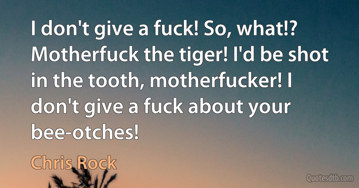 I don't give a fuck! So, what!? Motherfuck the tiger! I'd be shot in the tooth, motherfucker! I don't give a fuck about your bee-otches! (Chris Rock)