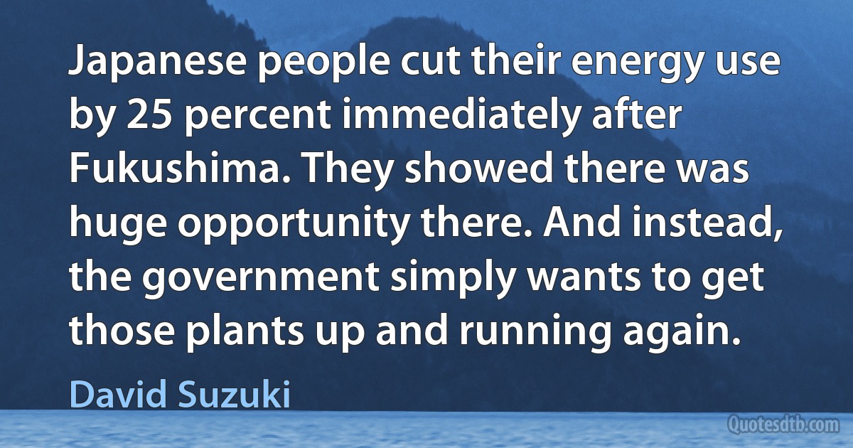 Japanese people cut their energy use by 25 percent immediately after Fukushima. They showed there was huge opportunity there. And instead, the government simply wants to get those plants up and running again. (David Suzuki)