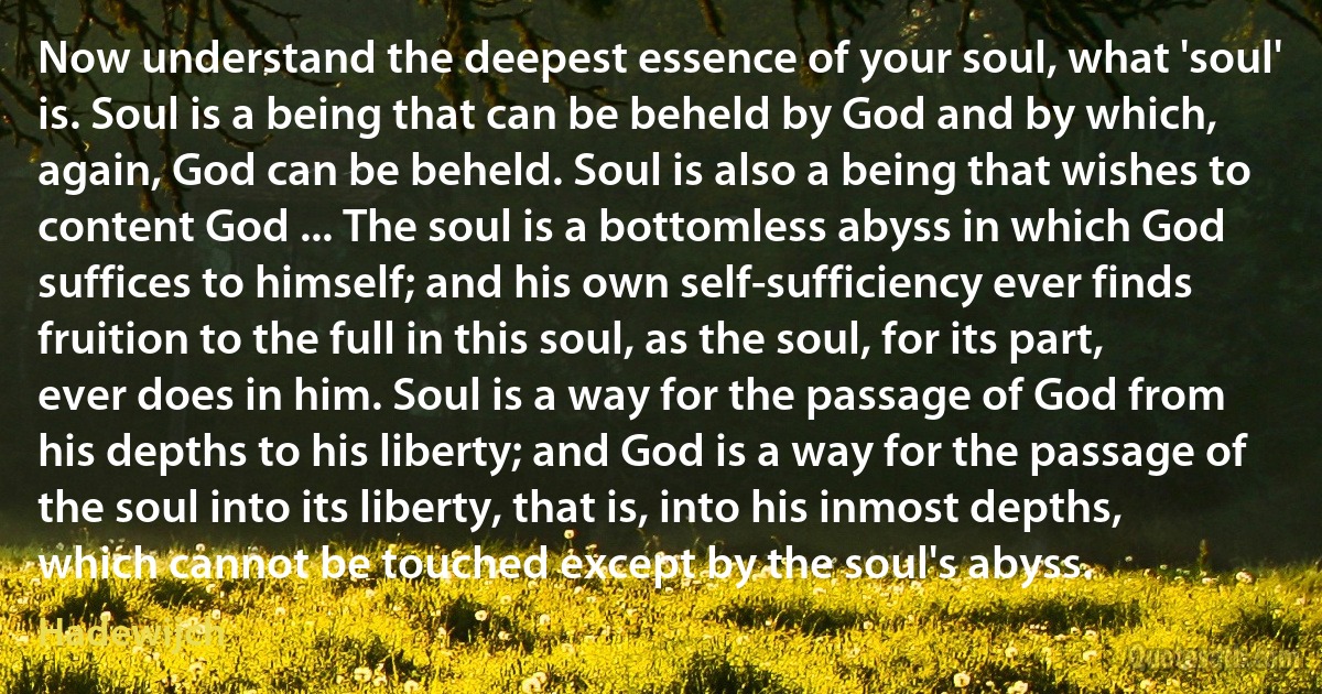 Now understand the deepest essence of your soul, what 'soul' is. Soul is a being that can be beheld by God and by which, again, God can be beheld. Soul is also a being that wishes to content God ... The soul is a bottomless abyss in which God suffices to himself; and his own self-sufficiency ever finds fruition to the full in this soul, as the soul, for its part, ever does in him. Soul is a way for the passage of God from his depths to his liberty; and God is a way for the passage of the soul into its liberty, that is, into his inmost depths, which cannot be touched except by the soul's abyss. (Hadewijch)