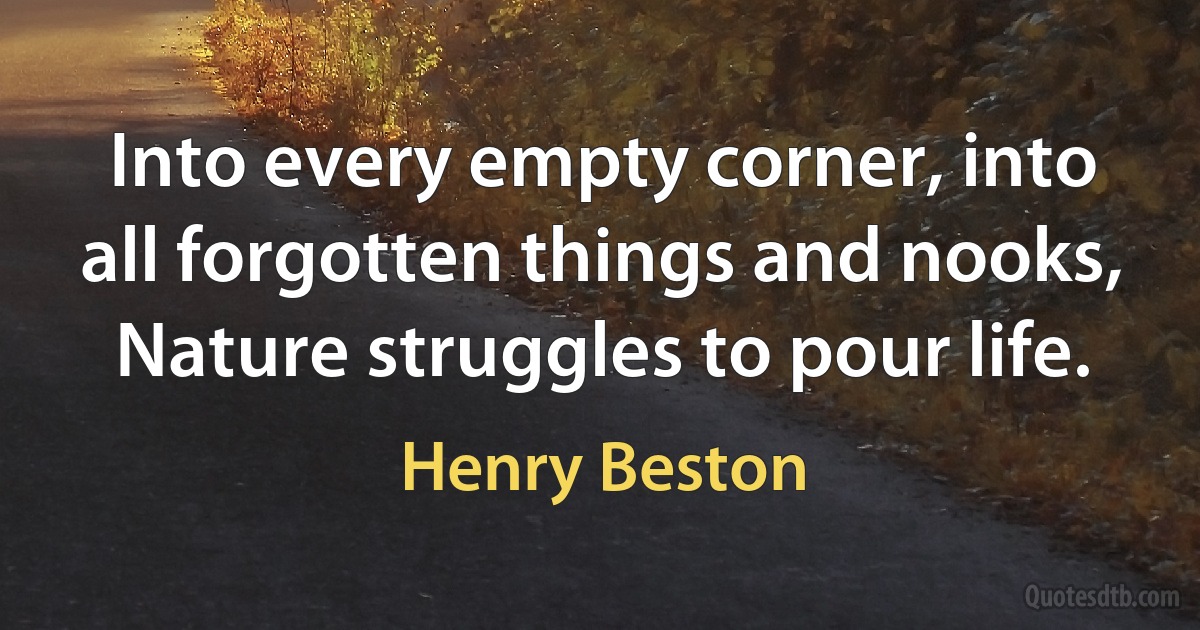 Into every empty corner, into all forgotten things and nooks, Nature struggles to pour life. (Henry Beston)