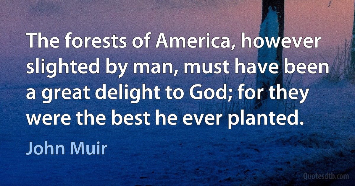 The forests of America, however slighted by man, must have been a great delight to God; for they were the best he ever planted. (John Muir)