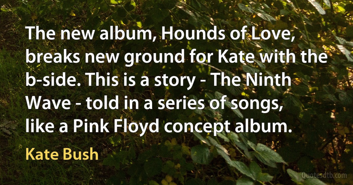 The new album, Hounds of Love, breaks new ground for Kate with the b-side. This is a story - The Ninth Wave - told in a series of songs, like a Pink Floyd concept album. (Kate Bush)