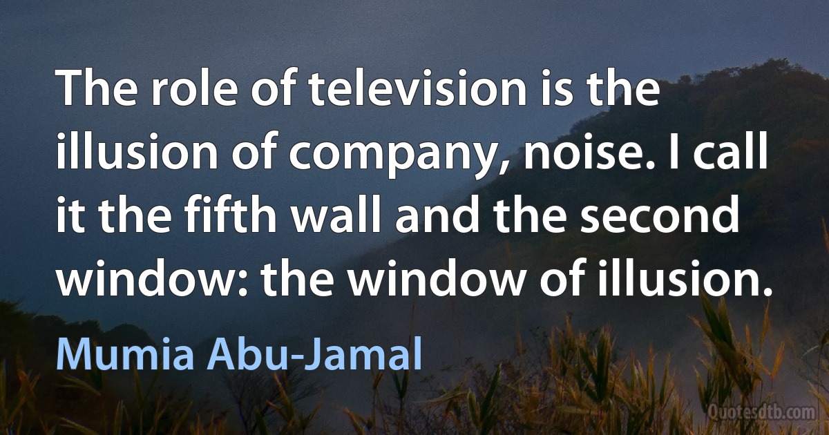 The role of television is the illusion of company, noise. I call it the fifth wall and the second window: the window of illusion. (Mumia Abu-Jamal)