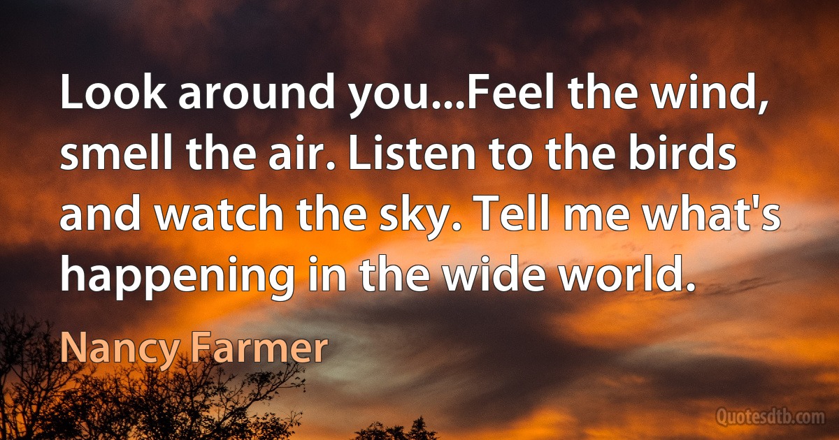 Look around you...Feel the wind, smell the air. Listen to the birds and watch the sky. Tell me what's happening in the wide world. (Nancy Farmer)