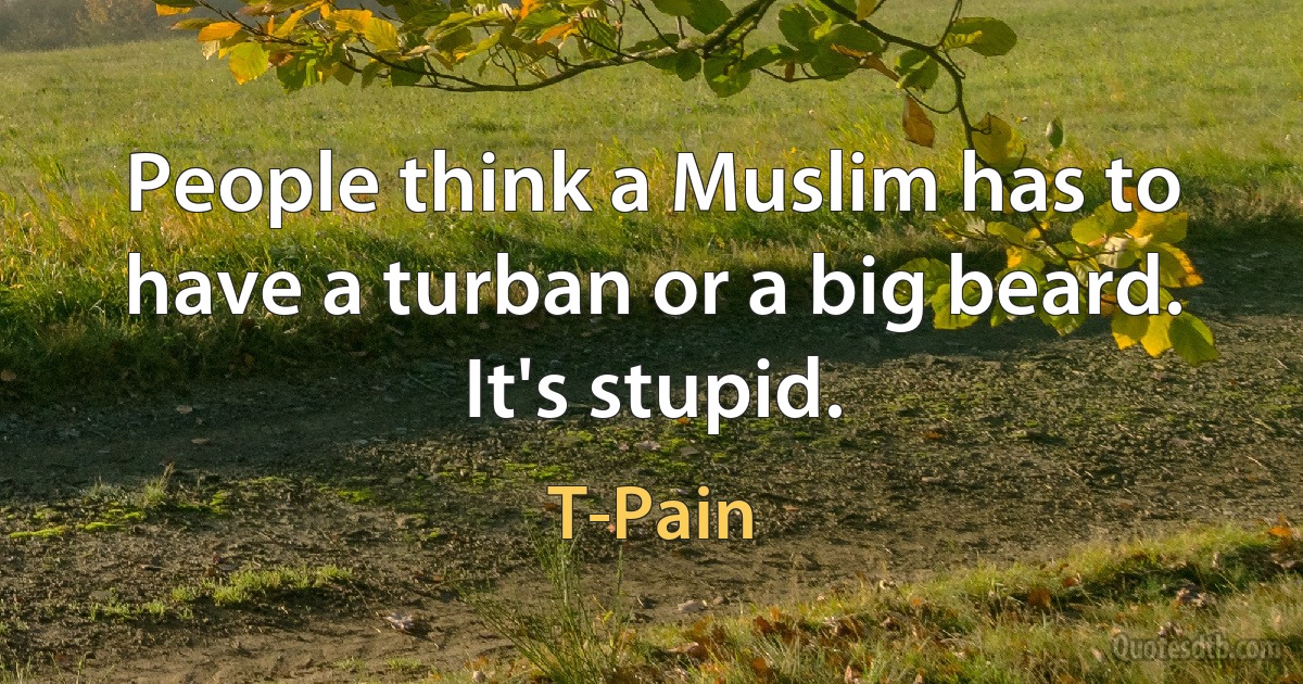 People think a Muslim has to have a turban or a big beard. It's stupid. (T-Pain)