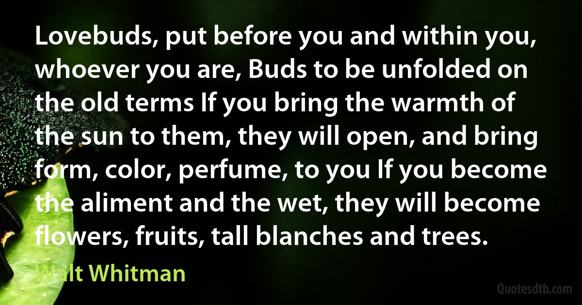 Lovebuds, put before you and within you, whoever you are, Buds to be unfolded on the old terms If you bring the warmth of the sun to them, they will open, and bring form, color, perfume, to you If you become the aliment and the wet, they will become flowers, fruits, tall blanches and trees. (Walt Whitman)