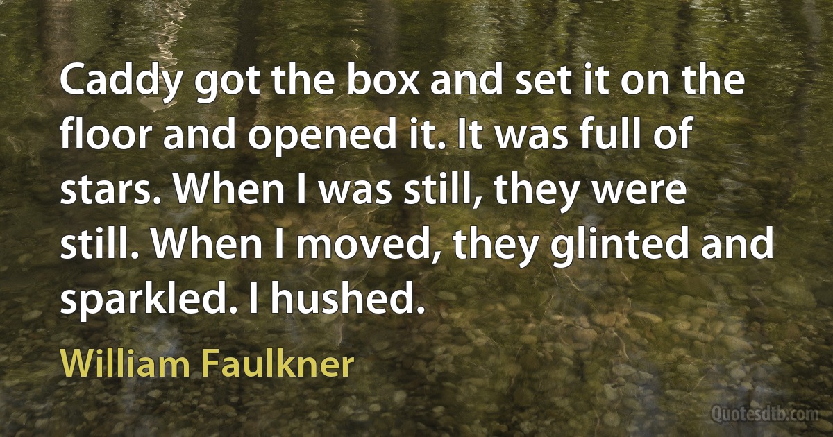 Caddy got the box and set it on the floor and opened it. It was full of stars. When I was still, they were still. When I moved, they glinted and sparkled. I hushed. (William Faulkner)