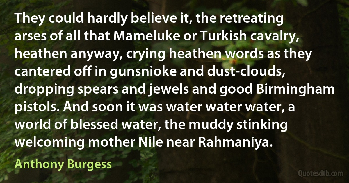 They could hardly believe it, the retreating arses of all that Mameluke or Turkish cavalry, heathen anyway, crying heathen words as they cantered off in gunsnioke and dust-clouds, dropping spears and jewels and good Birmingham pistols. And soon it was water water water, a world of blessed water, the muddy stinking welcoming mother Nile near Rahmaniya. (Anthony Burgess)