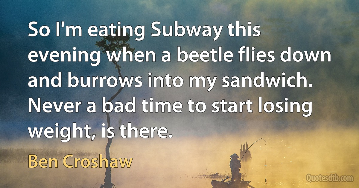 So I'm eating Subway this evening when a beetle flies down and burrows into my sandwich. Never a bad time to start losing weight, is there. (Ben Croshaw)