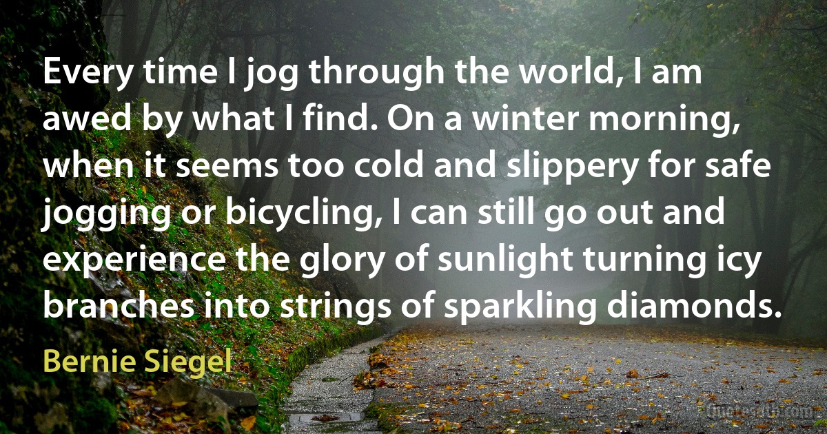 Every time I jog through the world, I am awed by what I find. On a winter morning, when it seems too cold and slippery for safe jogging or bicycling, I can still go out and experience the glory of sunlight turning icy branches into strings of sparkling diamonds. (Bernie Siegel)