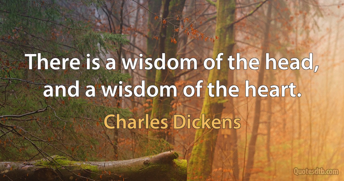 There is a wisdom of the head, and a wisdom of the heart. (Charles Dickens)