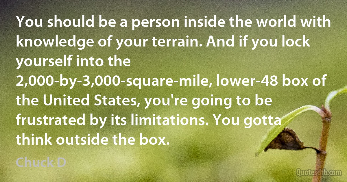 You should be a person inside the world with knowledge of your terrain. And if you lock yourself into the 2,000-by-3,000-square-mile, lower-48 box of the United States, you're going to be frustrated by its limitations. You gotta think outside the box. (Chuck D)