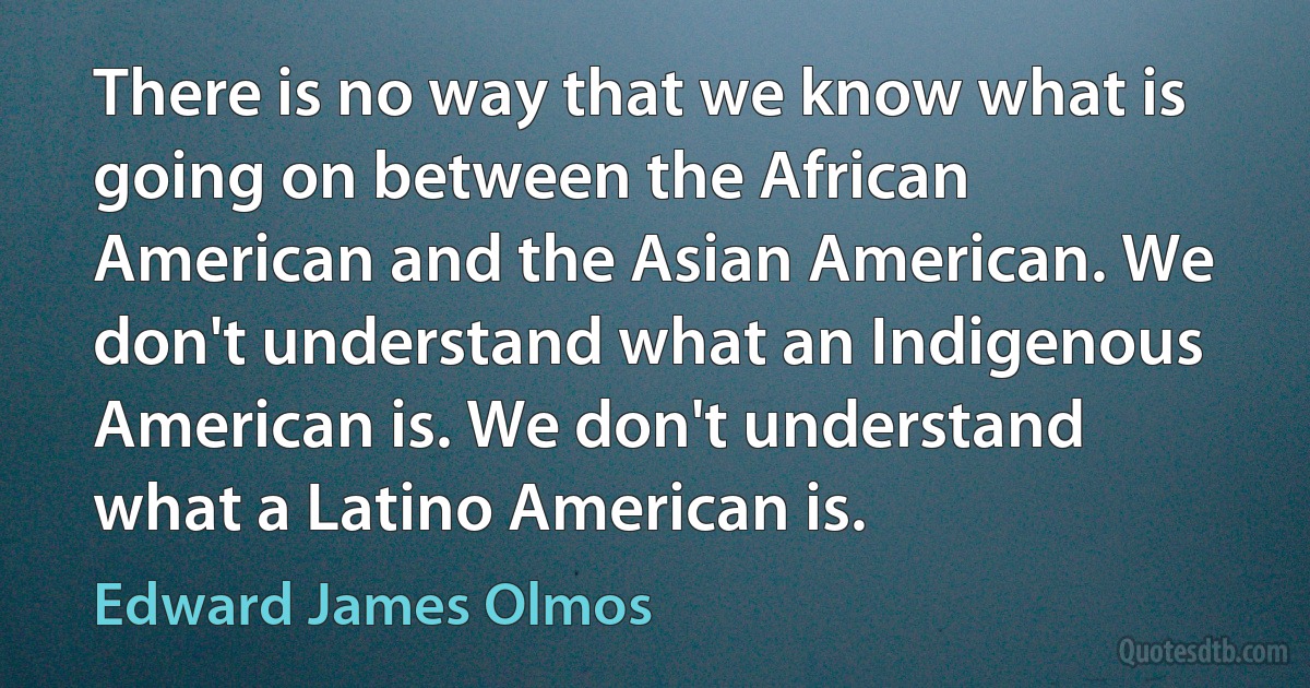 There is no way that we know what is going on between the African American and the Asian American. We don't understand what an Indigenous American is. We don't understand what a Latino American is. (Edward James Olmos)