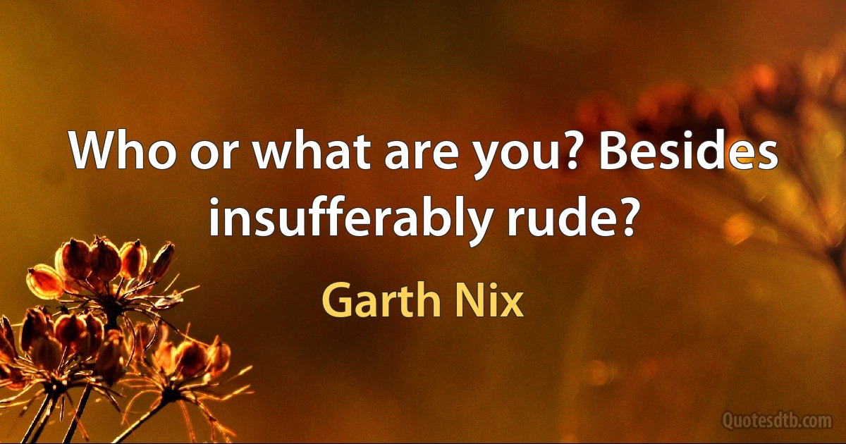 Who or what are you? Besides insufferably rude? (Garth Nix)