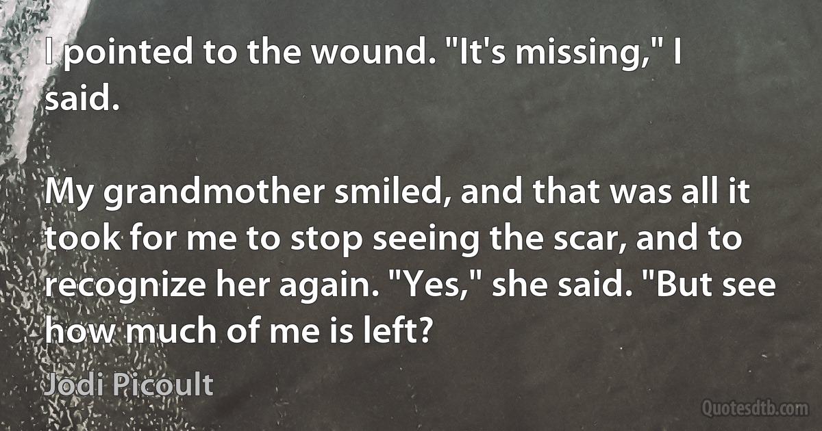 I pointed to the wound. "It's missing," I said.

My grandmother smiled, and that was all it took for me to stop seeing the scar, and to recognize her again. "Yes," she said. "But see how much of me is left? (Jodi Picoult)