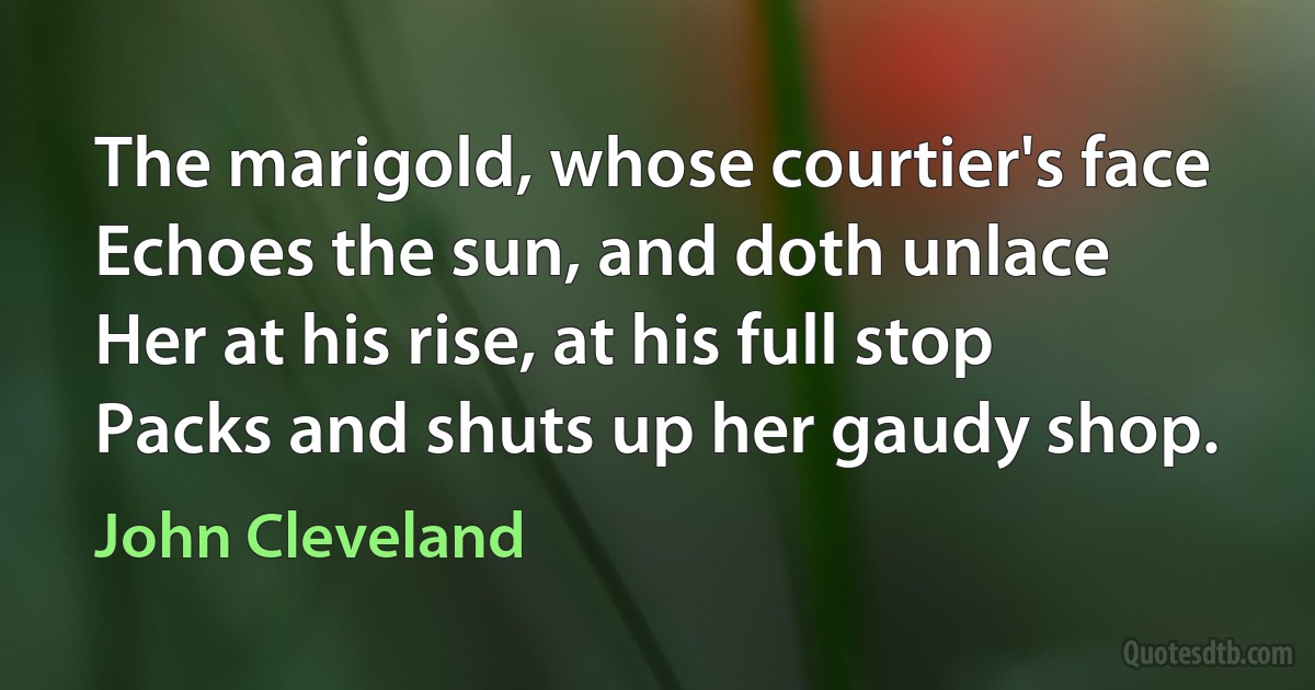 The marigold, whose courtier's face
Echoes the sun, and doth unlace
Her at his rise, at his full stop
Packs and shuts up her gaudy shop. (John Cleveland)