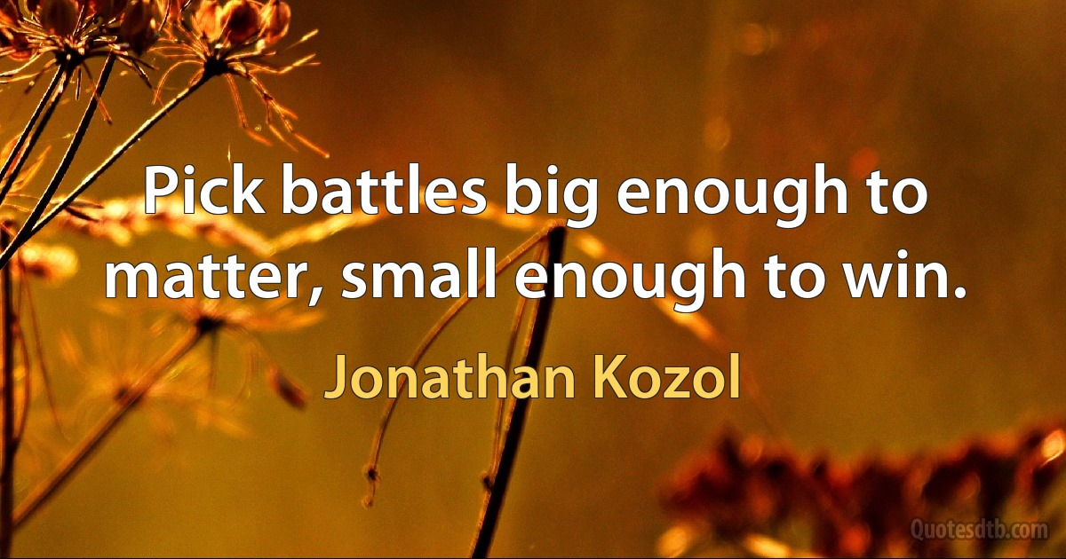 Pick battles big enough to matter, small enough to win. (Jonathan Kozol)