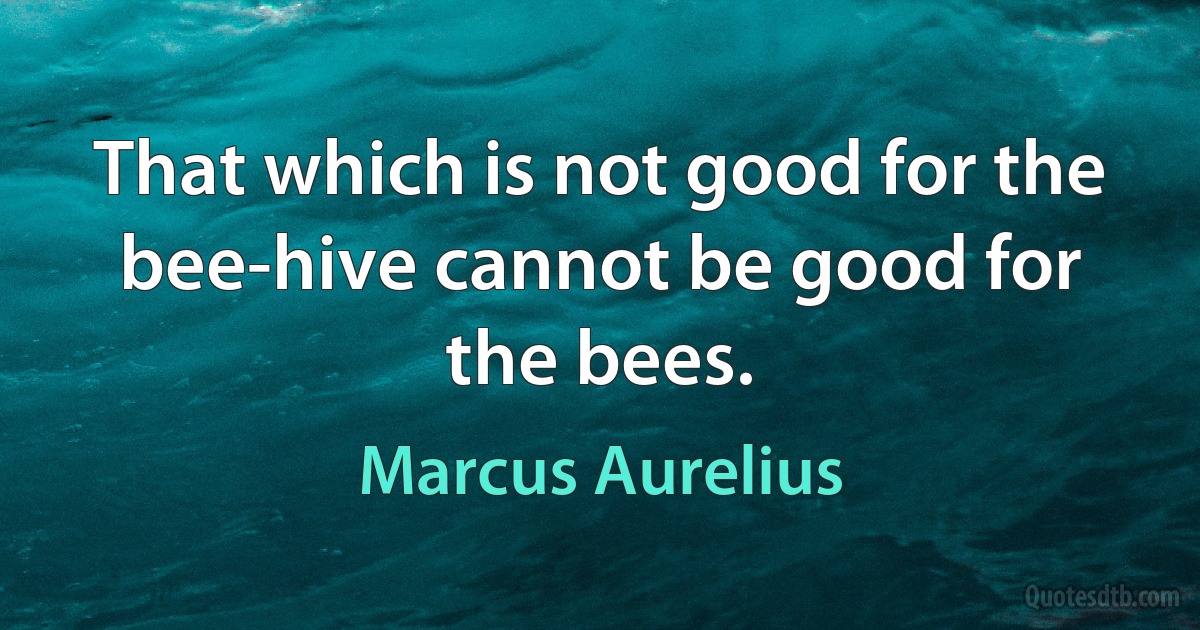 That which is not good for the bee-hive cannot be good for the bees. (Marcus Aurelius)