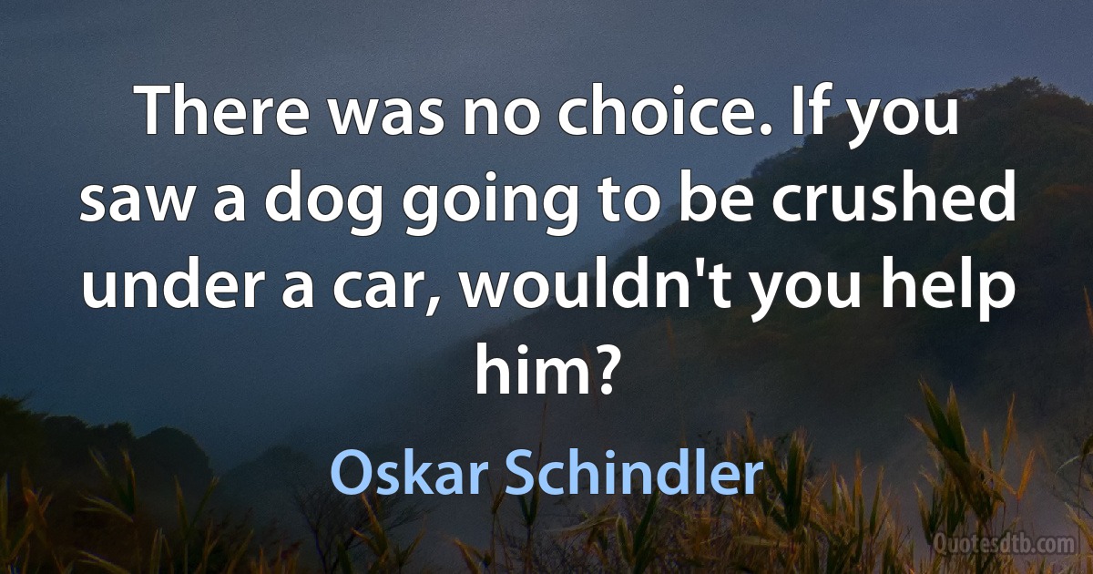 There was no choice. If you saw a dog going to be crushed under a car, wouldn't you help him? (Oskar Schindler)