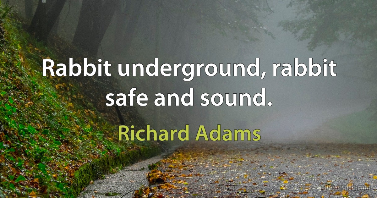 Rabbit underground, rabbit safe and sound. (Richard Adams)