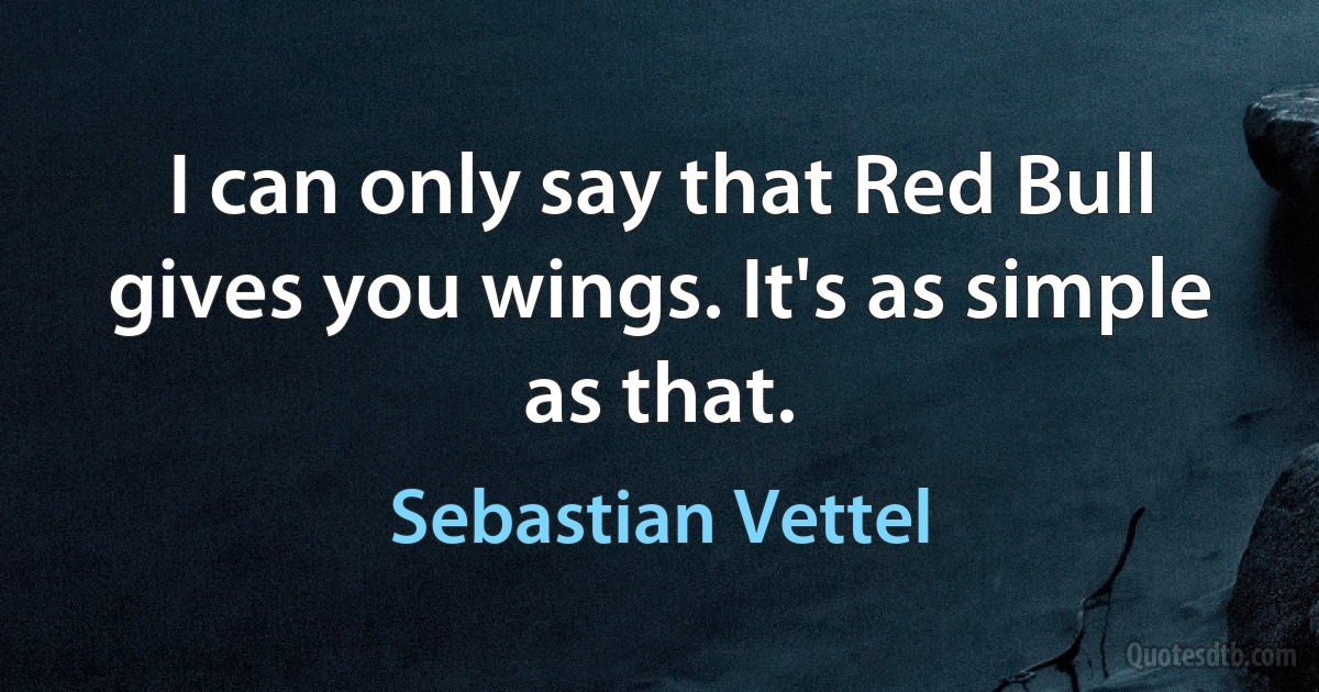 I can only say that Red Bull gives you wings. It's as simple as that. (Sebastian Vettel)