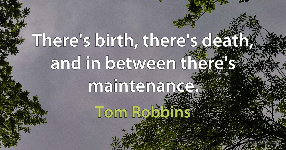 There's birth, there's death, and in between there's maintenance. (Tom Robbins)