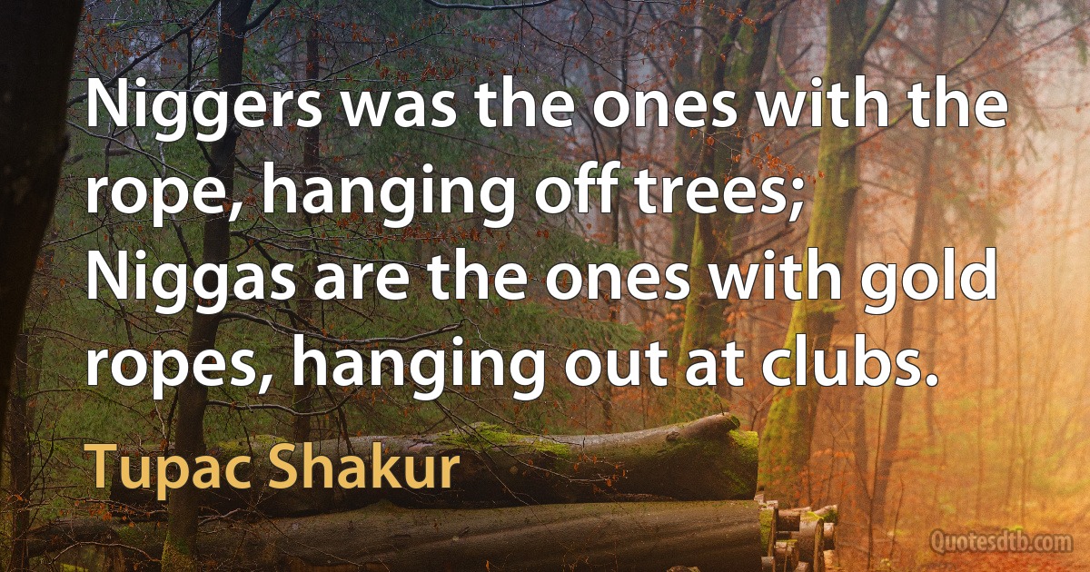 Niggers was the ones with the rope, hanging off trees; Niggas are the ones with gold ropes, hanging out at clubs. (Tupac Shakur)