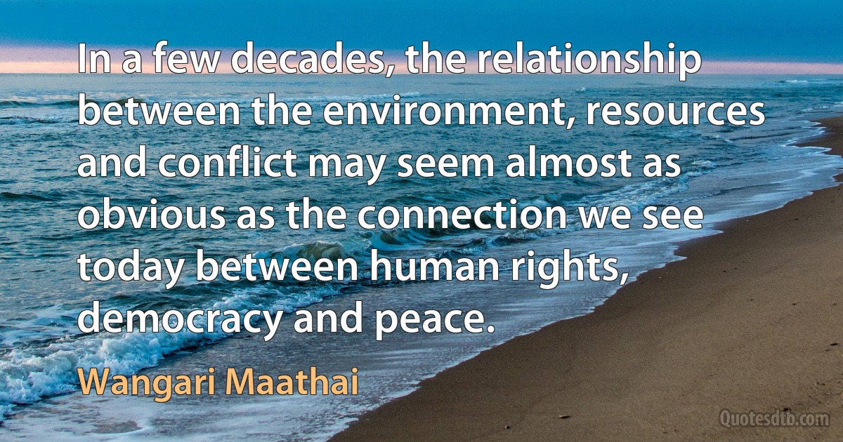 In a few decades, the relationship between the environment, resources and conflict may seem almost as obvious as the connection we see today between human rights, democracy and peace. (Wangari Maathai)