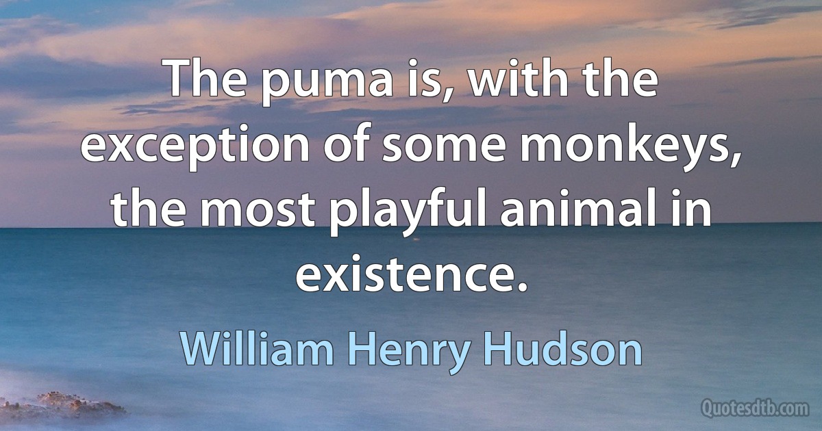 The puma is, with the exception of some monkeys, the most playful animal in existence. (William Henry Hudson)