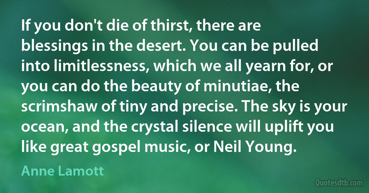 If you don't die of thirst, there are blessings in the desert. You can be pulled into limitlessness, which we all yearn for, or you can do the beauty of minutiae, the scrimshaw of tiny and precise. The sky is your ocean, and the crystal silence will uplift you like great gospel music, or Neil Young. (Anne Lamott)