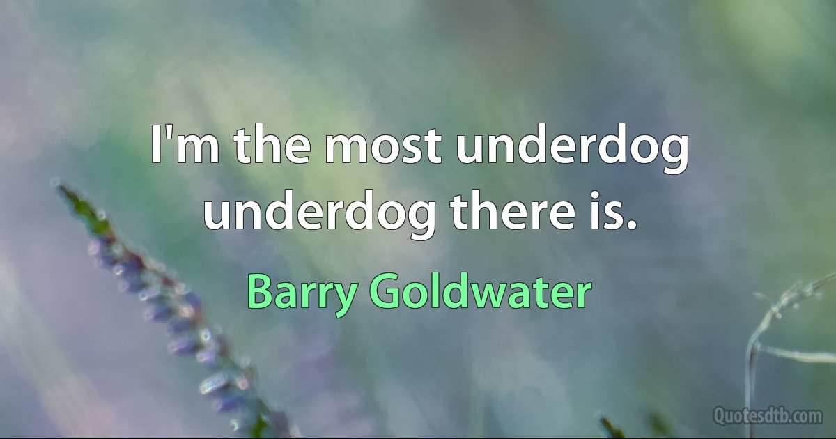 I'm the most underdog underdog there is. (Barry Goldwater)