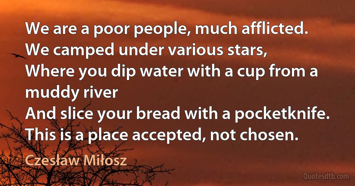 We are a poor people, much afflicted.
We camped under various stars,
Where you dip water with a cup from a muddy river
And slice your bread with a pocketknife.
This is a place accepted, not chosen. (Czesław Miłosz)