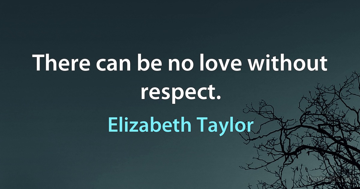 There can be no love without respect. (Elizabeth Taylor)