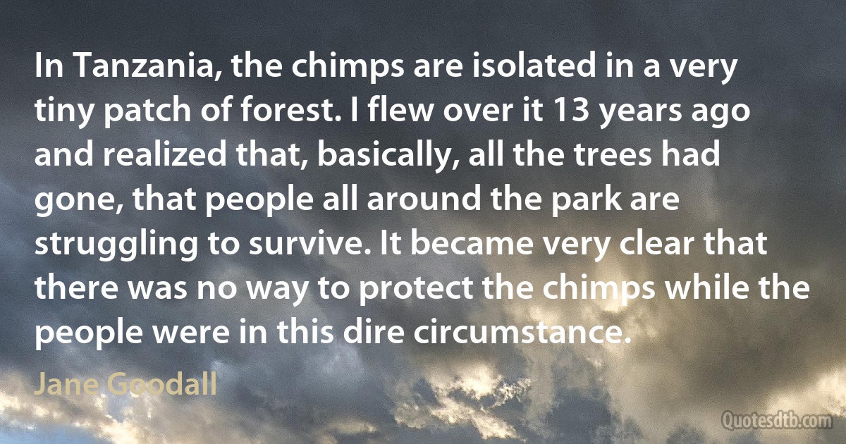 In Tanzania, the chimps are isolated in a very tiny patch of forest. I flew over it 13 years ago and realized that, basically, all the trees had gone, that people all around the park are struggling to survive. It became very clear that there was no way to protect the chimps while the people were in this dire circumstance. (Jane Goodall)