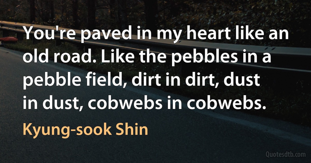 You're paved in my heart like an old road. Like the pebbles in a pebble field, dirt in dirt, dust in dust, cobwebs in cobwebs. (Kyung-sook Shin)